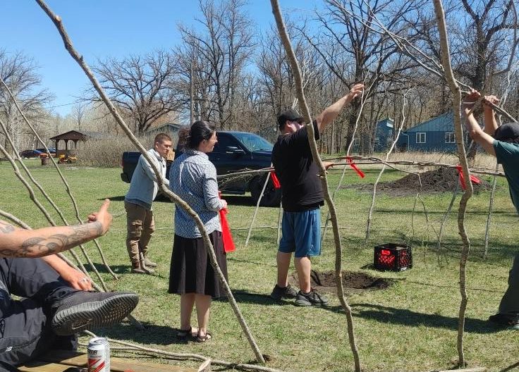 Willow poles are standing in holes in the grassy ground. People stand, some holding strips of red cloth, in various positions, ready to bend the willow into the structure of a sweat lodge.
